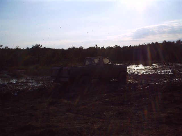 Truck parked on dirt with trees in background