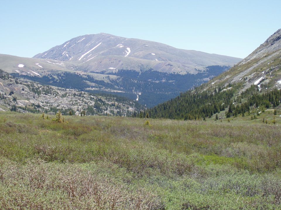 Mountain landscape with trees and brush, Supermotors.net logo