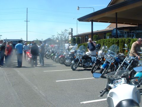 1999 Ford Crown Victoria - Motorcycles parked in rows at an outdoor gathering, with people milling around.