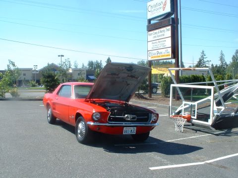 1999 Ford Crown Victoria - A red 1967 Ford Mustang coupe is parked with its hood open next to a basketball hoop.