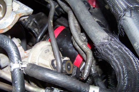 1997 Ford Probe - Close-up view of various hoses and wiring harnesses within an engine compartment.