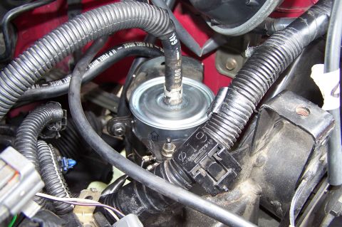 1997 Ford Probe - Engine bay view of a fuel filter assembly with associated hoses and electrical connectors.