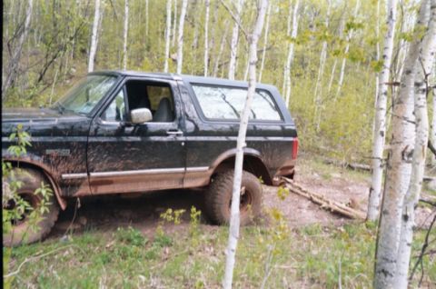 1996 Ford Bronco - A muddy black Ford Bronco is seen from the side in a wooded area.
