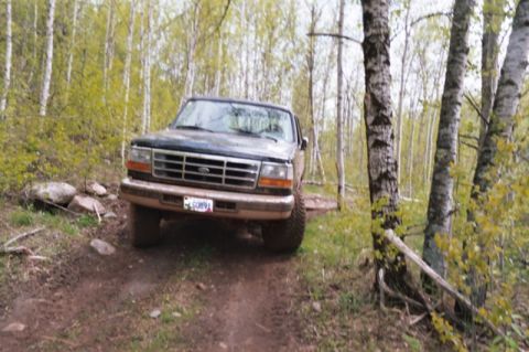 1996 Ford Bronco - A 1996 Ford Bronco is seen driving on a dirt path through a wooded area.