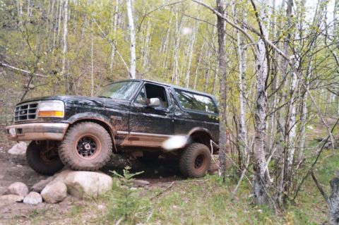 1996 Ford Bronco - A black Ford Bronco drives off-road through a wooded area, its tires climbing over rocks.