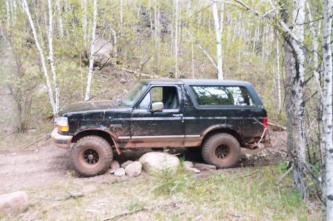 1996 Ford Bronco - A black 1996 Ford Bronco is shown off-roading on a dirt path surrounded by trees.