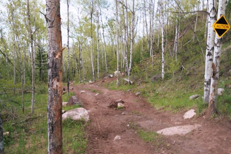 Rocky rutted dirt off-road trail through birch woods with a yellow CAUTION sign