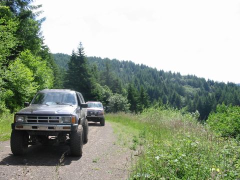 1991 Ford Explorer - Two SUVs drive down a dirt road surrounded by dense forest and green foliage.