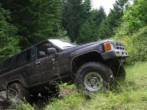 1991 Ford Explorer - A muddy black SUV navigates a grassy, wooded trail.