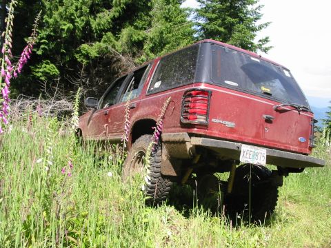 1991 Ford Explorer - 1991 Ford Explorer seen off-road on a trail with wildflowers and trees.