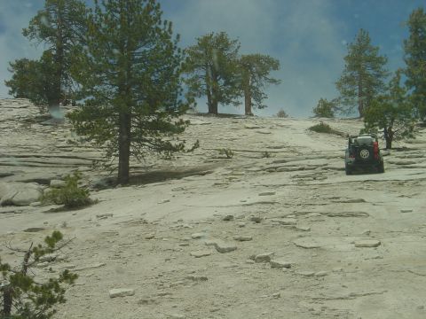 1989 Ford Bronco - An SUV navigates a challenging rocky path amidst sparse trees under a cloudy sky.