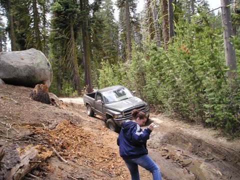 1989 Ford Bronco - A person photographs a gray pickup truck struggling on a muddy, wooded trail.