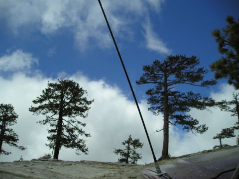 1989 Ford Bronco - A scenic view of trees and clouds from a rocky elevation, with a dark pole and website logo in the foreground.