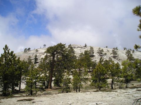 1989 Ford Bronco - Rocky mountain summit with scattered trees and a distant fire lookout tower on a partly cloudy day.