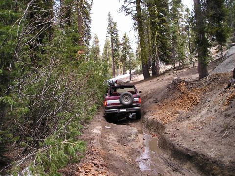 1989 Ford Bronco - A Ford Bronco navigates a challenging muddy trail in a wooded area, with another vehicle ahead.