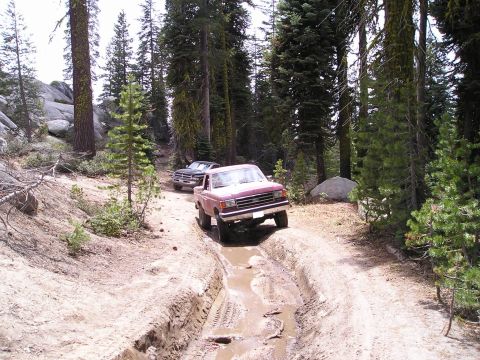 1989 Ford Bronco - Two vehicles navigate a muddy trail through a dense forest with tall trees.