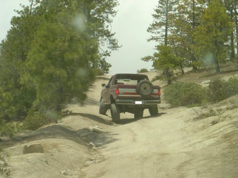 1989 Ford Bronco - A red SUV drives up a dusty, off-road path surrounded by pine trees.