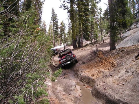 1989 Ford Bronco - Off-road vehicles tackle a challenging muddy trail in a wooded area.