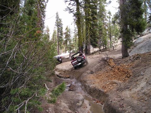1989 Ford Bronco - Off-roading through a challenging, wet, and wooded terrain requires careful driving and capable vehicles.