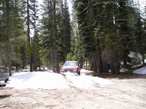 1989 Ford Bronco - Red SUV navigates a snowy trail surrounded by tall pine trees.