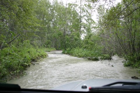 2003 Jeep TJ - Driving through a flooded trail with trees lining both sides.