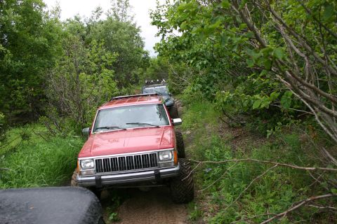 2003 Jeep TJ - A red Jeep Cherokee navigates a wooded trail, with another Jeep following behind.