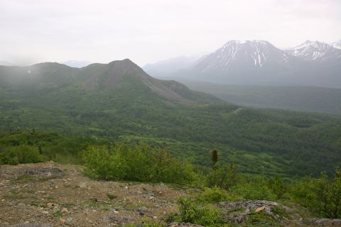 2003 Jeep TJ - A vast expanse of green forested mountains stretches towards distant, snow-dusted peaks under an overcast sky.