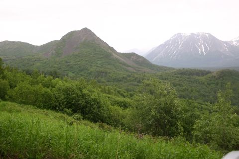 2003 Jeep TJ - A scenic view of mountains covered in trees and grass, with snow on the peaks.