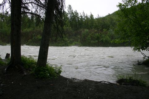 2003 Jeep TJ - A turbulent river churns through a natural landscape, bordered by trees and thick vegetation.