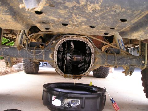 1996 Ford Bronco - Performing maintenance on the rear differential of a vehicle, draining old fluid into a catch pan.