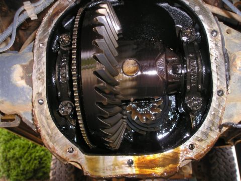 1996 Ford Bronco - Close-up of a vehicle's differential gears and housing, showing internal components covered in oil.