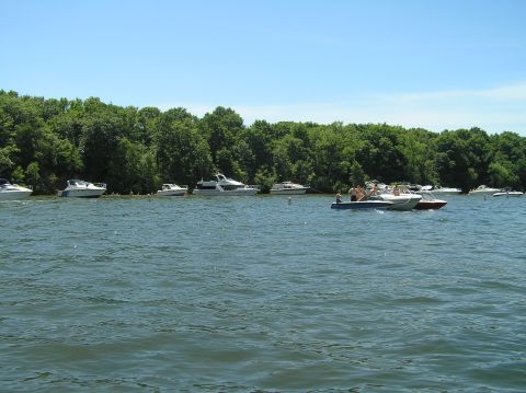 1997 Crownline 266 CCR - A sunny day on the water with multiple boats anchored near the shore.