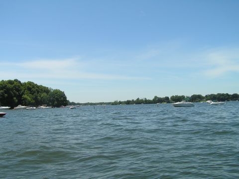 1997 Crownline 266 CCR - Several boats are visible on a lake, with a tree-lined shore in the background under a clear blue sky.