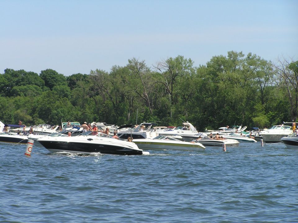 Many motorboats gathered on a lake near a wooded shore under a blue sky