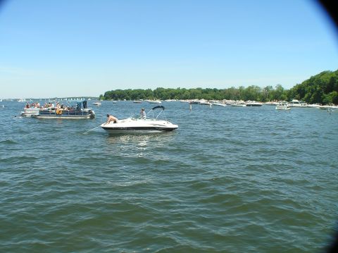 1997 Crownline 266 CCR - Boats are on the water with a tree-lined shore in the distance under a clear blue sky.