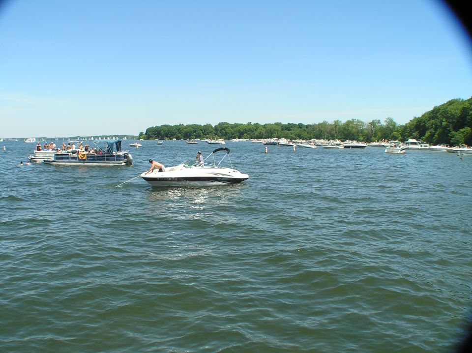 White bowrider boat with blue Bimini top on a busy lake with other boats near a shoreline