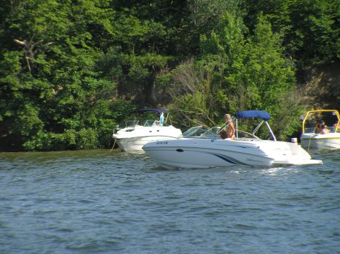 1997 Crownline 266 CCR
