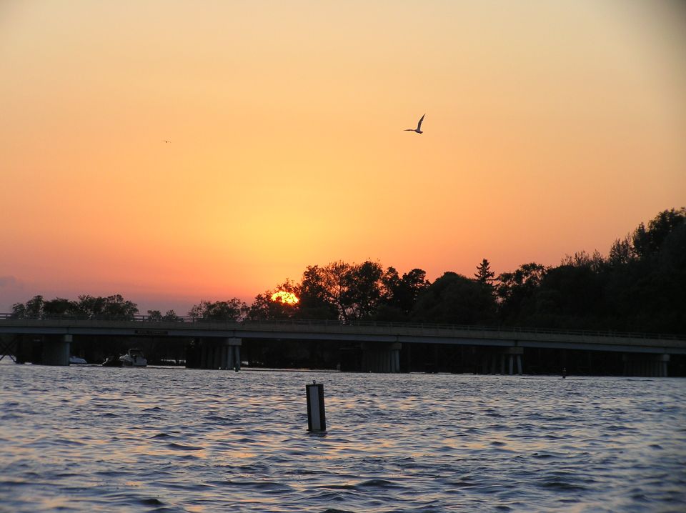 Sunset over water with a bridge, treeline, and a bird flying overhead