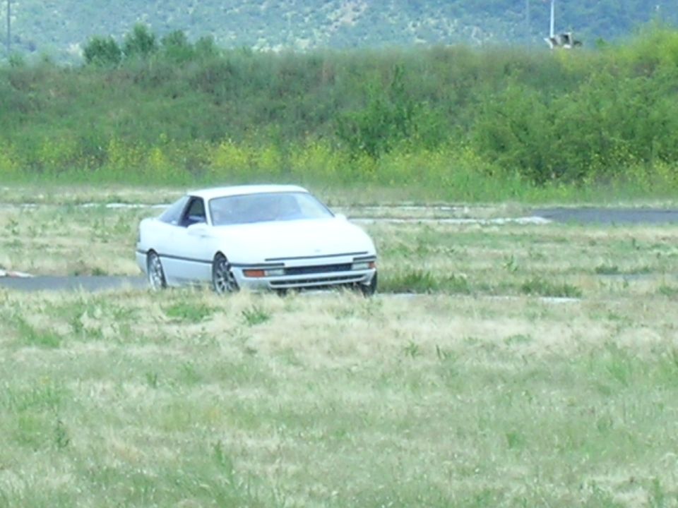 White coupe with a black grille and silver wheels on a grassy field