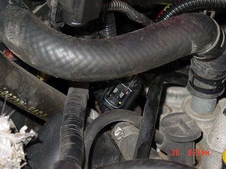 1995 Ford Crown Victoria - Hoses 2