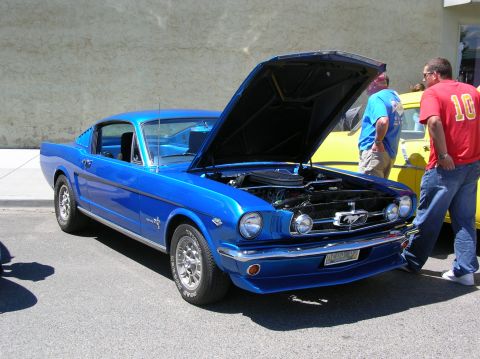 1965 Ford Mustang “Stang”