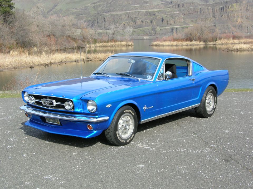 1965 Ford Mustang “Stang”