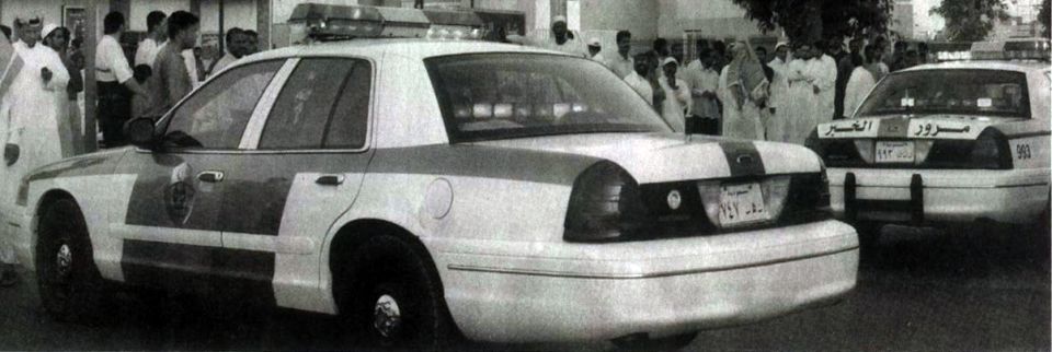 White police car with green and white stripes, rear view. Another police car is visible to the right