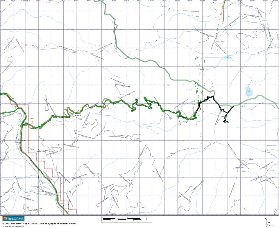 DeLorme topo map with a green and black GPS track across grid terrain