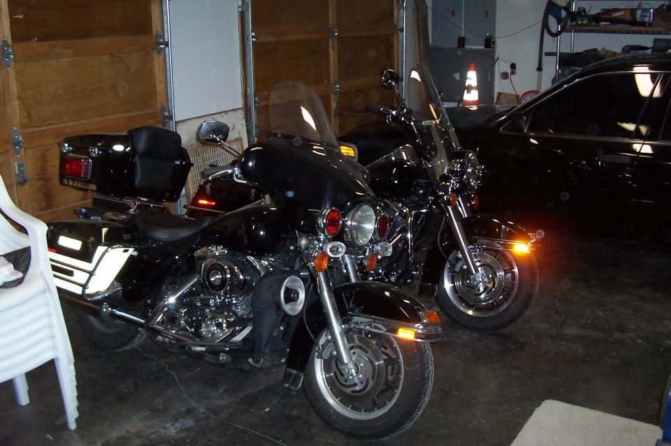 Just waiting to get out and play
