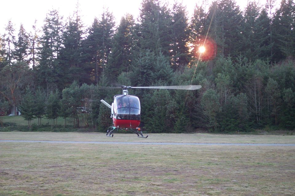 Red and white helicopter hovering over grass field in front of evergreen forest at sunset.