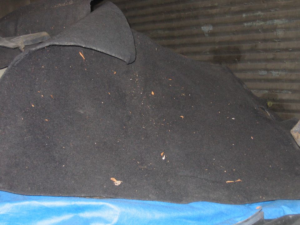 Black carpet with small debris scattered on it, partially covering a blue tarp
