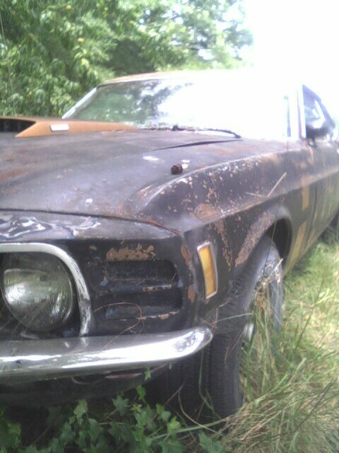 2001 Ford Taurus - This weathered 1970 Ford Mustang Mach 1 sits in overgrown grass, showing significant paint deterioration.
