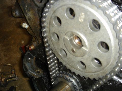 1986 Ford Mustang - Close-up of engine timing components, including a chain and sprockets, with a website watermark visible.