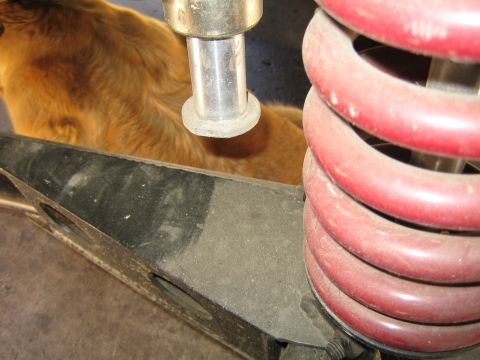 1990 Ford Bronco - close-up of a red coil spring on a shock shaft mounted to a black bracket, with a brown dog resting in the background.